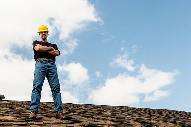 Best Roof Gutter Cleaning  in Crossett, AR